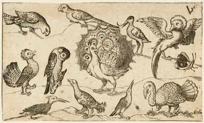 Paon au centre entouré de neuf autres oiseaux, dont un dindon, et d