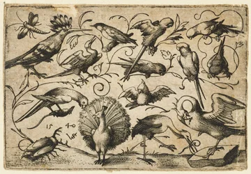 Dix oiseaux sur de petites vrilles de feuillage avec une cigogne attachant une vrille autour de la patte d