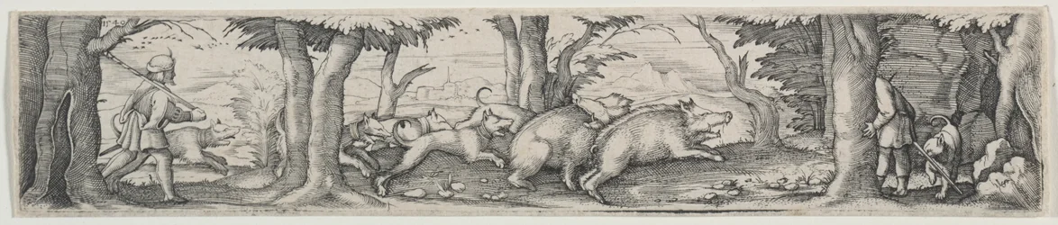 Chasse au Sanglier