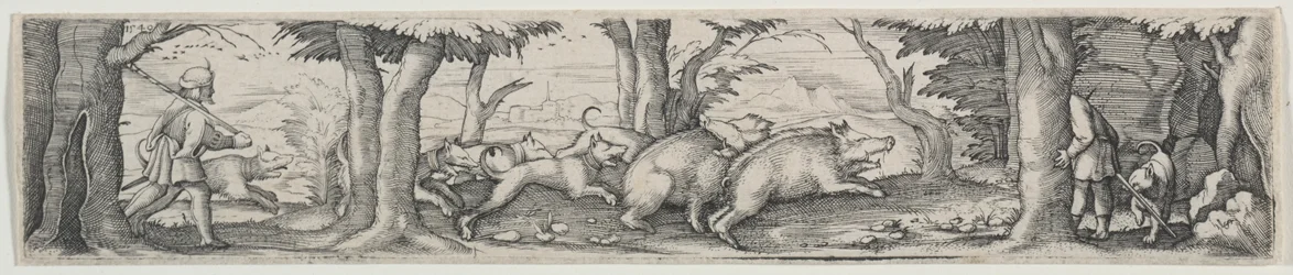 Chasse au sanglier