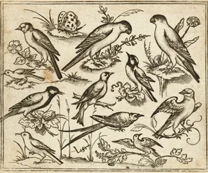 Onze oiseaux sur des branches fleuries avec un papillon, de Douce Ornament Prints Album I