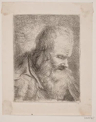 Vieil homme barbu, buste