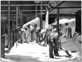 Fabrication de sucre à la raffinerie de Counterslip, Bristol, 1873