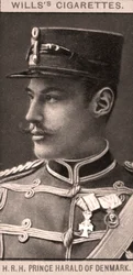 S.A.R. le Prince Harold du Danemark, 1908
