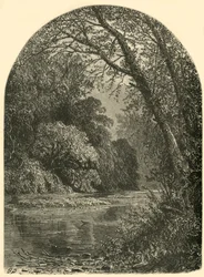 Moss Islands, dans la Juniata, 1874