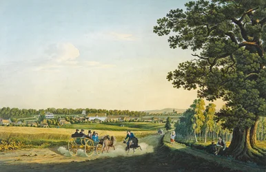 Vue d