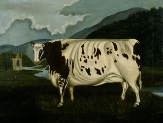 La célèbre Craven Heifer