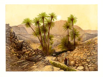 Le Désert du Sinaï, Égypte, vers 1870