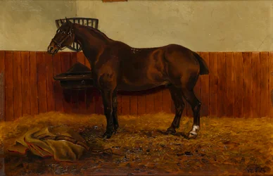Le vieux Cob dans une écurie