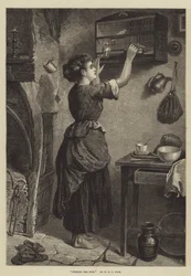 Nourrir les animaux de compagnie