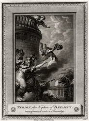 Perdix, le neveu de Dédale, transformé en perdrix, 1774