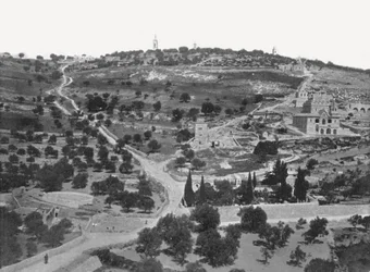 Mont des Oliviers, Jérusalem, Palestine, 1895