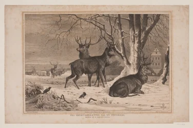 Depuis la plaine de l