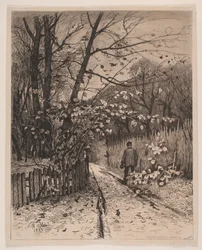 Novembre