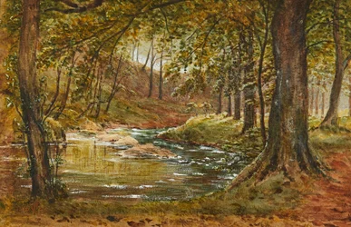 Une clairière forestière