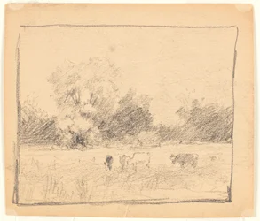 Paysage