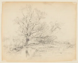 Esquisse de Paysage