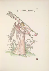 Une échelle de Jacob. Un ange tenant une échelle faite de plantes