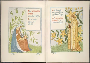 Étoile de Bethléem et millepertuis