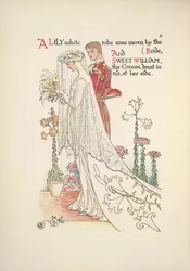 Les mariés. Une robe blanche portée par la mariée, et Sweet William, le marié, habillé en rouge
