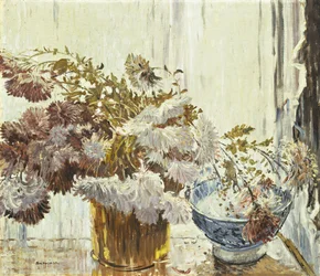 Chrysanthèmes