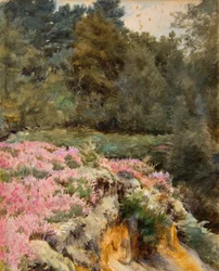 Tête de la carrière de gravier, Royden