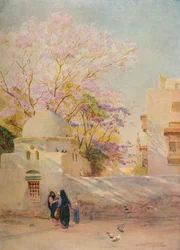 Le Jacaranda, vers 1905, 1912
