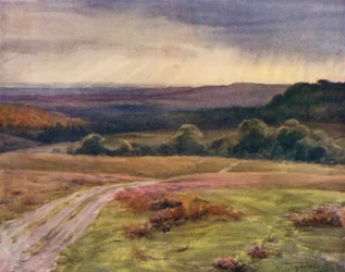 La Nouvelle Forêt : Promenade de Boldrewood, Puck Pitts, depuis la route de Fritham