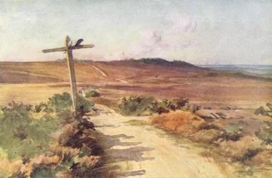 Wessex : Bere Heath en automne, avec Gallows Hill au loin