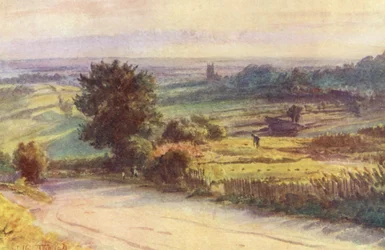 Wessex : Blackmore Vale depuis Shaftesbury