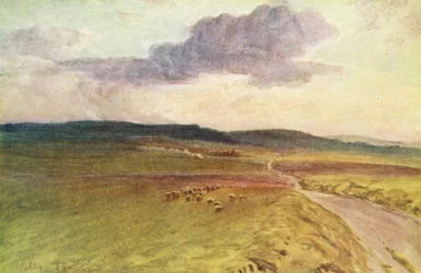 Wessex : Près du château de Maiden, Dorchester