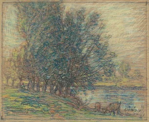 Saules, Longpre, France, vers 1911-18