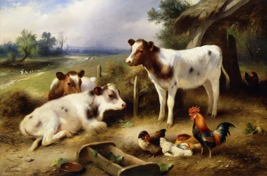 Amis de la ferme