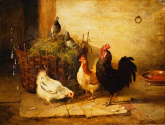 Volaille et pigeons dans un intérieur