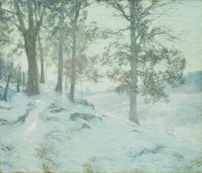 Feuilles de chêne persistantes