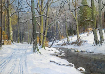 Paysage de ruisseau en hiver