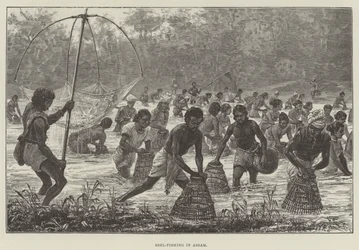 Pêche au Beel en Assam