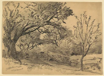 Paysage à Dorset, Vermont