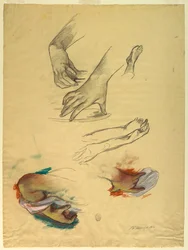 Étude de mains