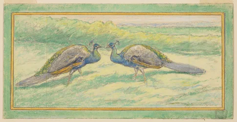 Deux paons dans un paysage
