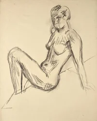 étude sur la nudité
