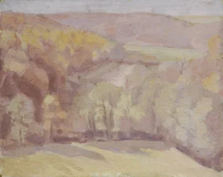 Paysage vallonné