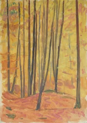 Intérieur de forêt