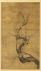 Un prunus au clair de lune