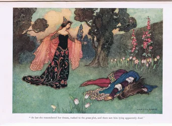 Enfin, elle se souvint de son rêve, se précipita sur la pelouse et le vit étendu là, apparemment mort, illustration tirée de «Hutchinson