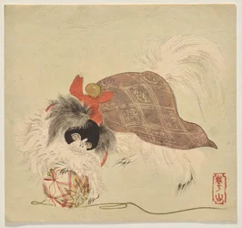 Chien Chin japonais dans un manteau violet, jouant avec une balle de fil de soie
