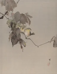 Oiseaux sur une branche, vers 1887