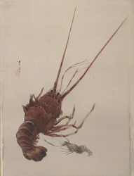 Écrevisse, vers 1887