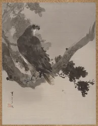 Aigle dans un arbre, vers 1887