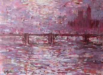Reflets de la ville rose